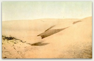 San Francisco Historical Photograph Collection Color image sand dunes. Golden Gate Park - before the work of reclamation commenced. Britton & Rey. SFPL AAA-8316 